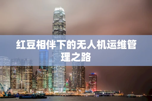 红豆相伴下的无人机运维管理之路
