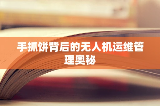 手抓饼背后的无人机运维管理奥秘