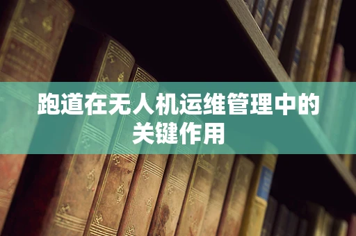 跑道在无人机运维管理中的关键作用