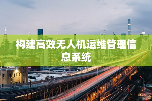 构建高效无人机运维管理信息系统