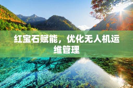 红宝石赋能，优化无人机运维管理