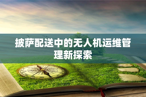 披萨配送中的无人机运维管理新探索
