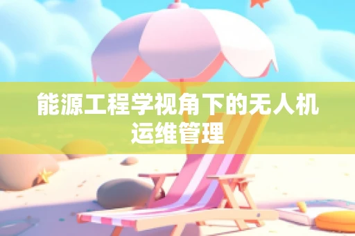 能源工程学视角下的无人机运维管理