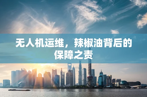 无人机运维，辣椒油背后的保障之责
