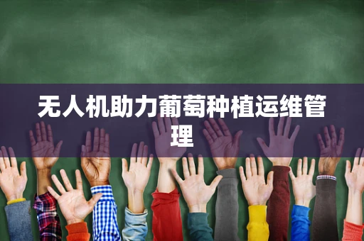 无人机助力葡萄种植运维管理