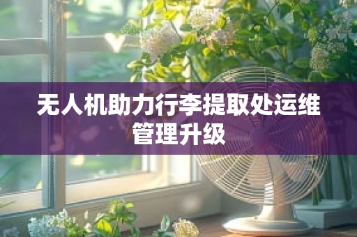 无人机助力行李提取处运维管理升级