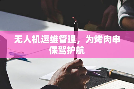 无人机运维管理，为烤肉串保驾护航