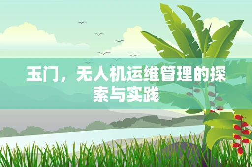 玉门，无人机运维管理的探索与实践