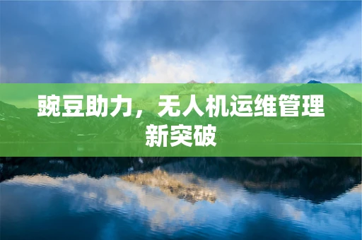 豌豆助力，无人机运维管理新突破