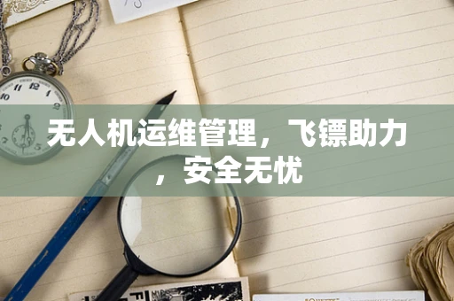 无人机运维管理，飞镖助力，安全无忧