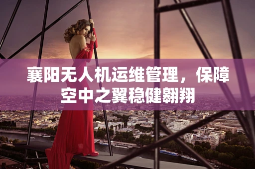 襄阳无人机运维管理，保障空中之翼稳健翱翔
