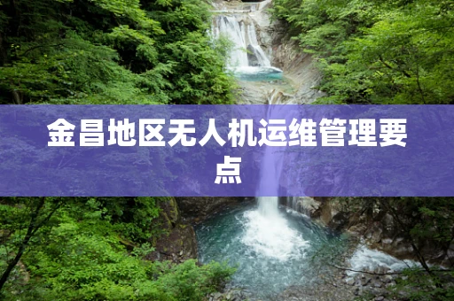 金昌地区无人机运维管理要点