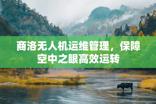 商洛无人机运维管理，保障空中之眼高效运转