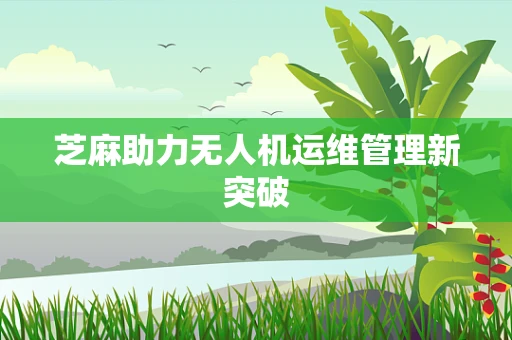 芝麻助力无人机运维管理新突破