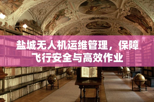 盐城无人机运维管理，保障飞行安全与高效作业