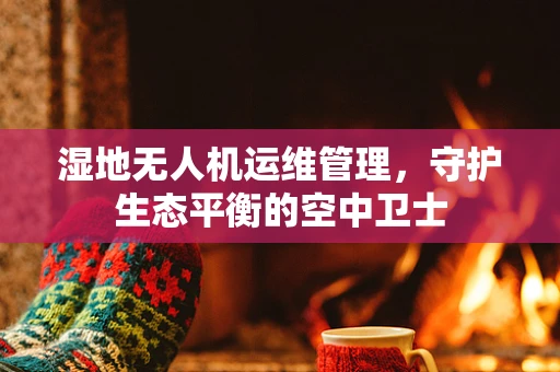 湿地无人机运维管理，守护生态平衡的空中卫士