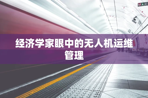 经济学家眼中的无人机运维管理