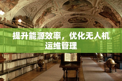提升能源效率，优化无人机运维管理