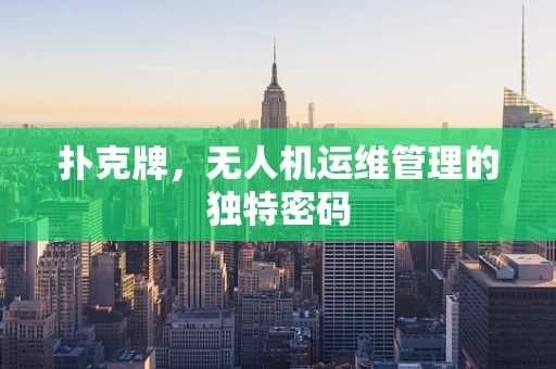 扑克牌，无人机运维管理的独特密码