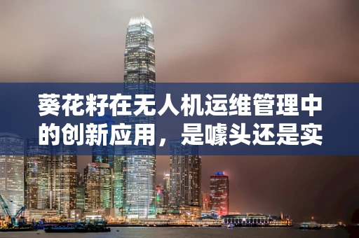 葵花籽在无人机运维管理中的创新应用，是噱头还是实锤？