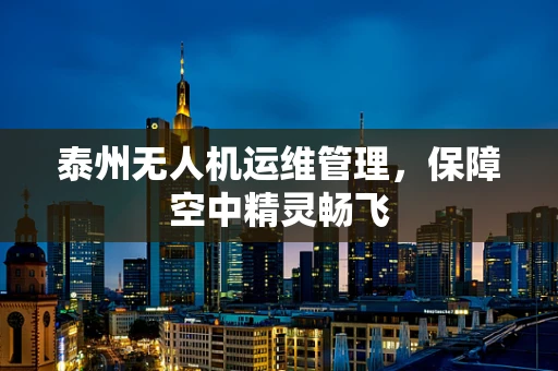 泰州无人机运维管理，保障空中精灵畅飞