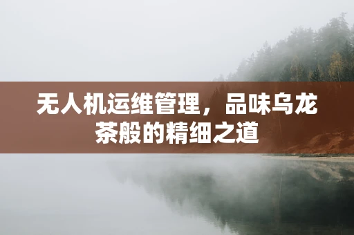 无人机运维管理，品味乌龙茶般的精细之道