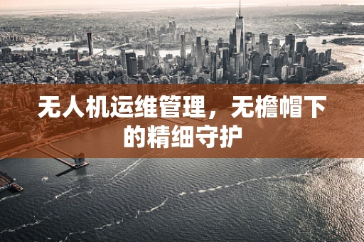 无人机运维管理，无檐帽下的精细守护