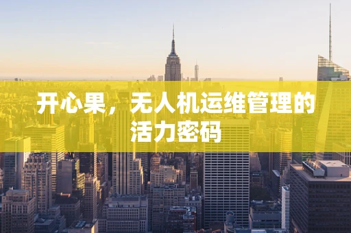 开心果，无人机运维管理的活力密码