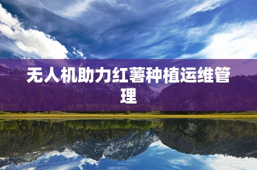 无人机助力红薯种植运维管理