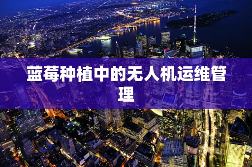 蓝莓种植中的无人机运维管理