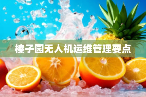 榛子园无人机运维管理要点