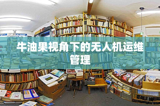 牛油果视角下的无人机运维管理