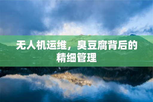 无人机运维，臭豆腐背后的精细管理