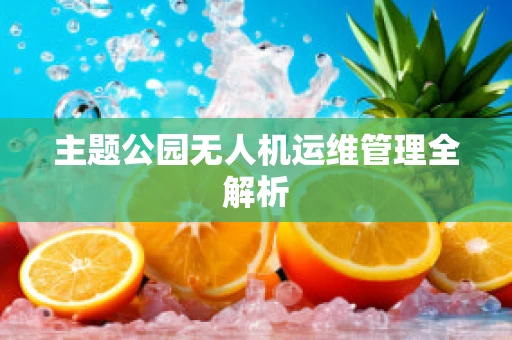 主题公园无人机运维管理全解析