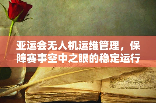 亚运会无人机运维管理，保障赛事空中之眼的稳定运行