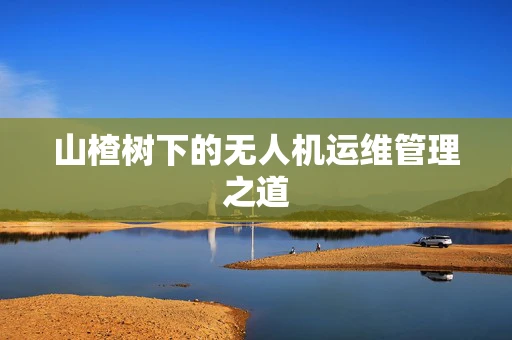 山楂树下的无人机运维管理之道