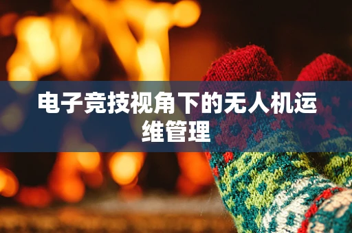 电子竞技视角下的无人机运维管理