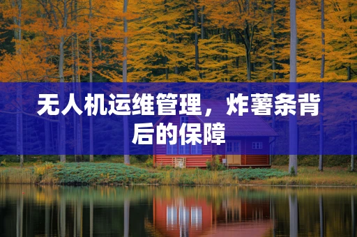 无人机运维管理，炸薯条背后的保障