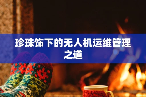 珍珠饰下的无人机运维管理之道