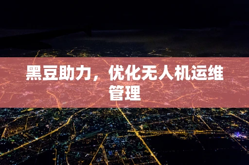 黑豆助力，优化无人机运维管理