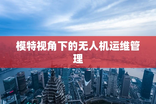 模特视角下的无人机运维管理
