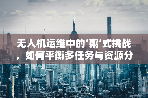 无人机运维中的‘粥’式挑战，如何平衡多任务与资源分配？