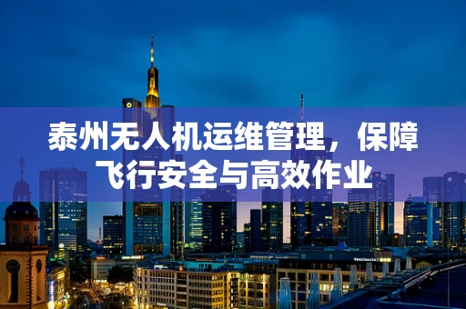 泰州无人机运维管理，保障飞行安全与高效作业