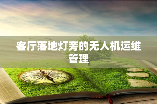 客厅落地灯旁的无人机运维管理