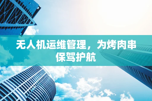 无人机运维管理，为烤肉串保驾护航