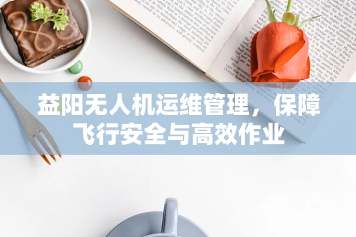 益阳无人机运维管理，保障飞行安全与高效作业