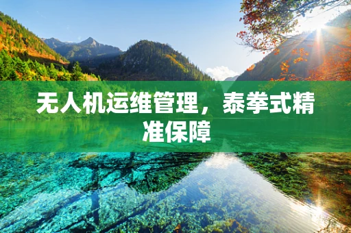 无人机运维管理，泰拳式精准保障