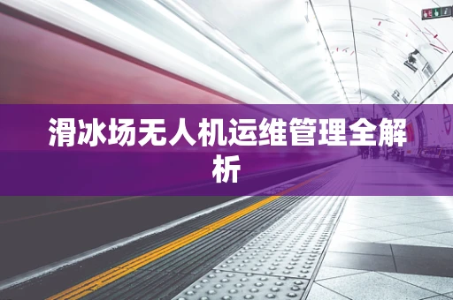 滑冰场无人机运维管理全解析