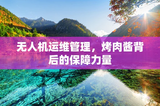 无人机运维管理，烤肉酱背后的保障力量