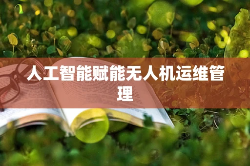 人工智能赋能无人机运维管理